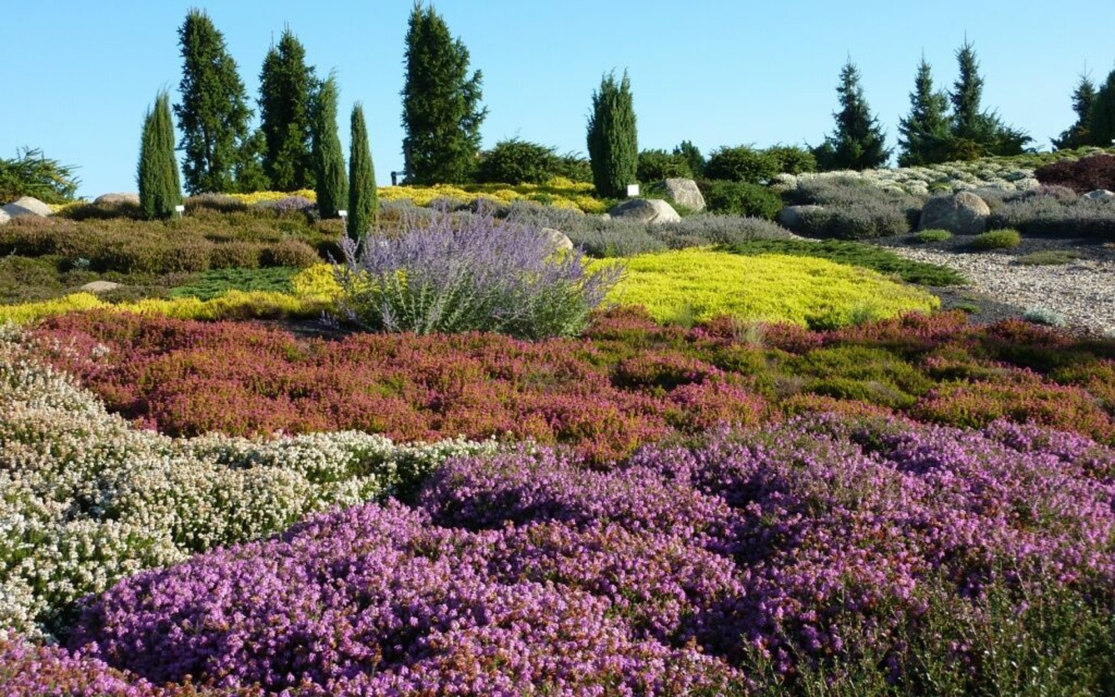 Luzicky Park Bludnych Kamenu Nochten