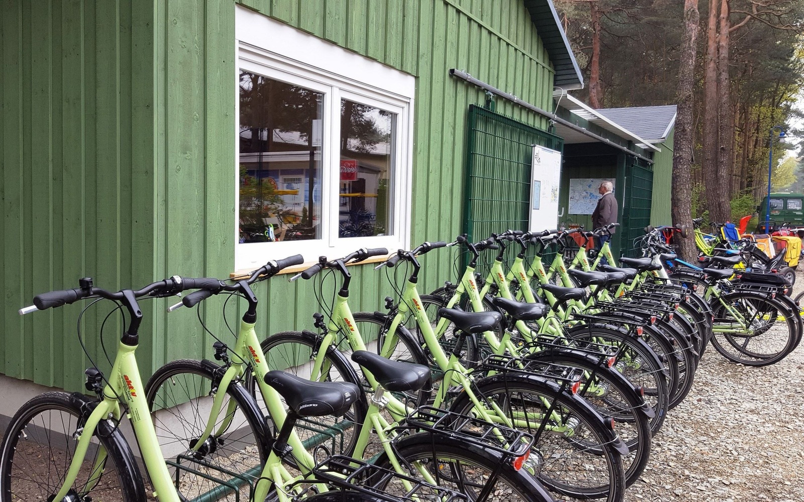 iba aktiv tours Bicycle Rental at Lake Senftenberg